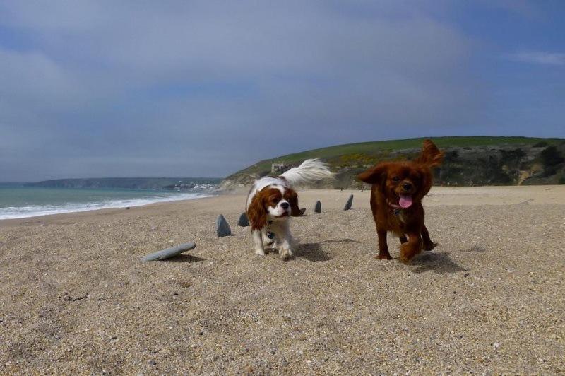 Holiday home Cowshed Located Nr Kynance Cove *