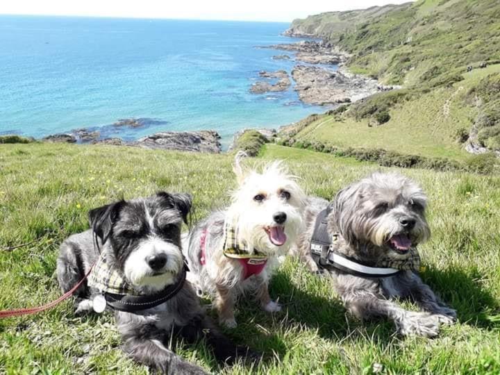 Holiday home Cowshed Located Nr Kynance Cove *