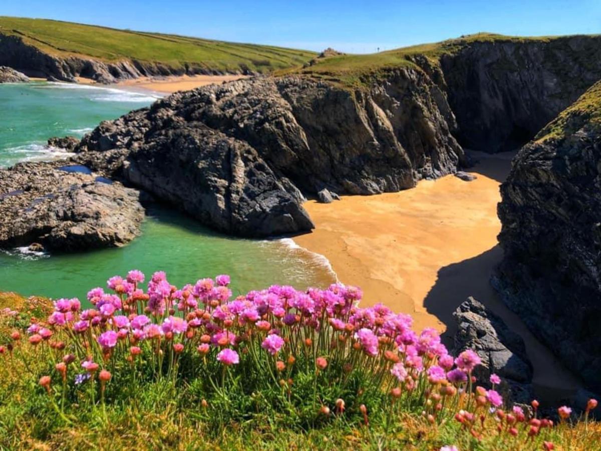 Cowshed Located Nr Kynance Cove