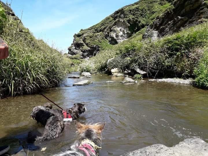 Holiday home Cowshed Located Nr Kynance Cove Lizard